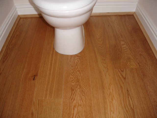 toiletfinishing.jpg